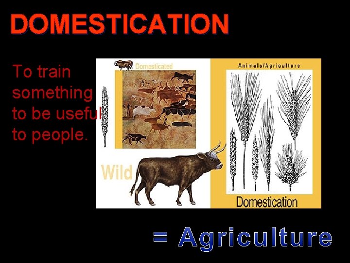 DOMESTICATION To train something to be useful to people. 