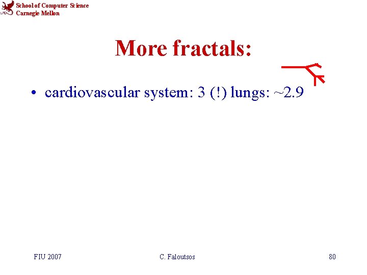 School of Computer Science Carnegie Mellon More fractals: • cardiovascular system: 3 (!) lungs: