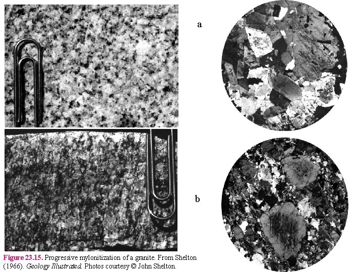 a b Figure 23. 15. Progressive mylonitization of a granite. From Shelton (1966). Geology