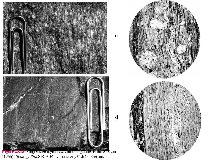c d Figure 23. 15. Progressive mylonitization of a granite. From Shelton (1966). Geology