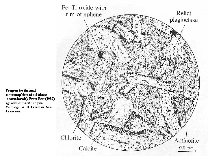 Progressive thermal metamorphism of a diabase (coarse basalt). From Best (1982). Igneous and Metamorphic