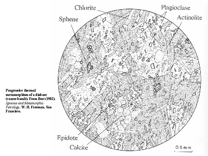 Progressive thermal metamorphism of a diabase (coarse basalt). From Best (1982). Igneous and Metamorphic