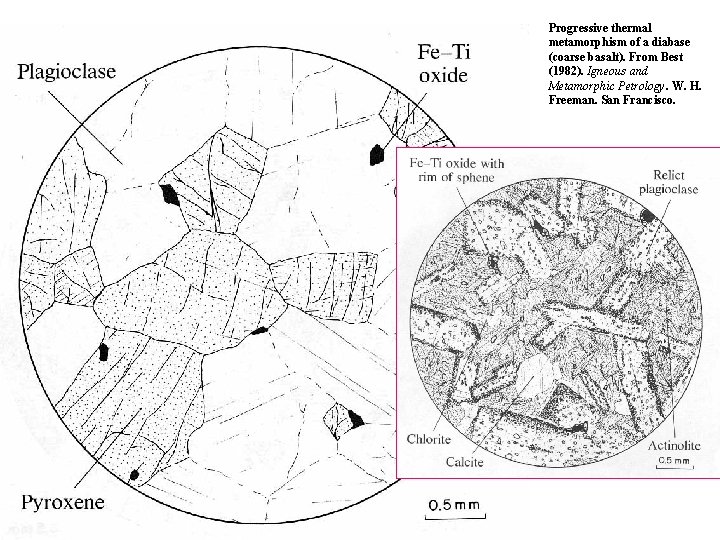 Progressive thermal metamorphism of a diabase (coarse basalt). From Best (1982). Igneous and Metamorphic