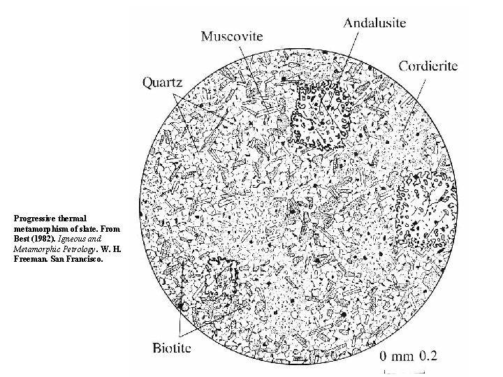 Progressive thermal metamorphism of slate. From Best (1982). Igneous and Metamorphic Petrology. W. H.