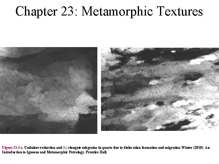 Chapter 23: Metamorphic Textures a b Figure 23. 4 a. Undulose extinction and (b)