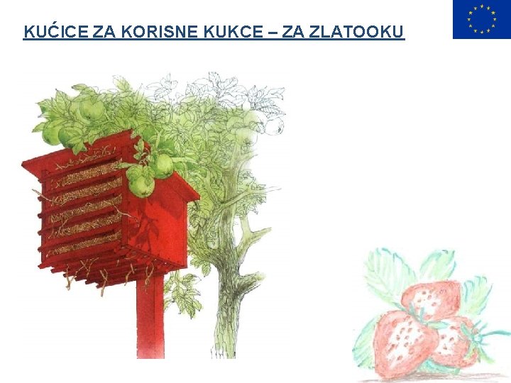 KUĆICE ZA KORISNE KUKCE – ZA ZLATOOKU 