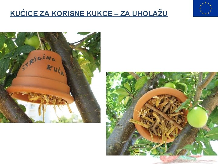 KUĆICE ZA KORISNE KUKCE – ZA UHOLAŽU 