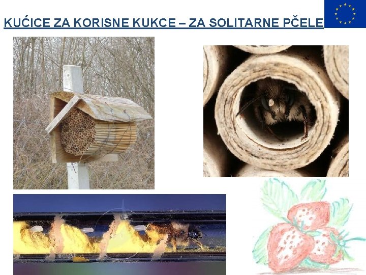 KUĆICE ZA KORISNE KUKCE – ZA SOLITARNE PČELE 