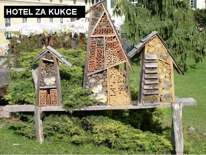 HOTEL ZA KUKCE 