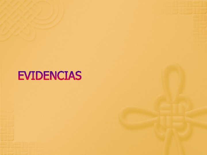 EVIDENCIAS 