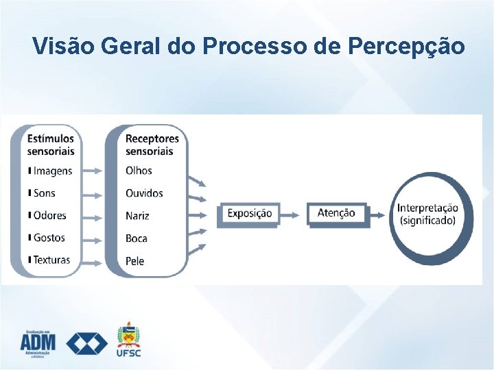 Visão Geral do Processo de Percepção 