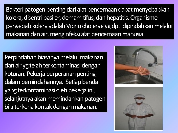 Bakteri patogen penting dari alat pencernaan dapat menyebabkan kolera, disentri basiler, demam tifus, dan