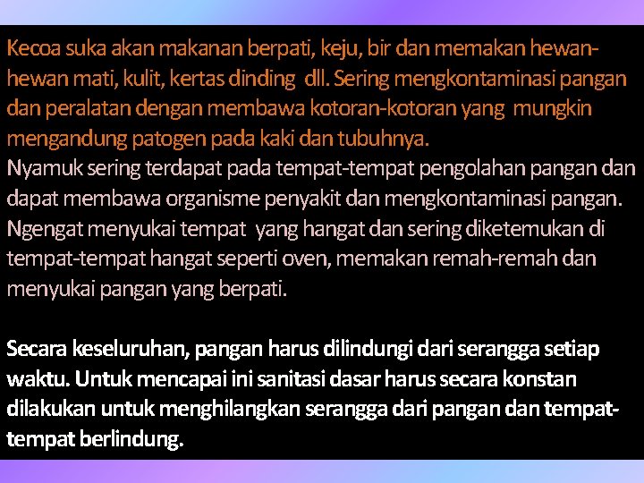 Kecoa suka akan makanan berpati, keju, bir dan memakan hewan mati, kulit, kertas dinding