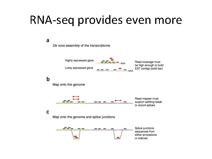 RNA-seq provides even more RNA-seq provides even more
