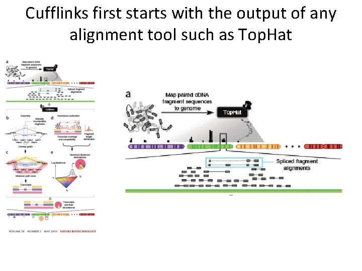 Cufflinks first starts with the output of any alignment tool such as Top. Hat Cufflinks first starts with the output of any alignment tool such as Top. Hat