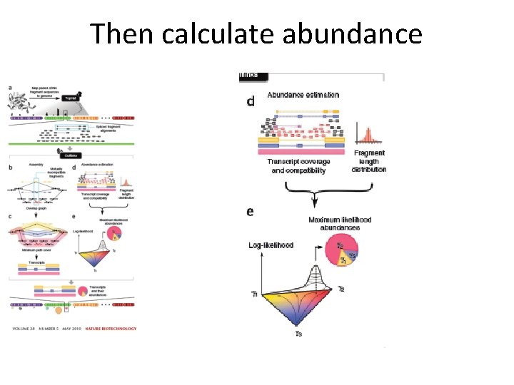Then calculate abundance Then calculate abundance