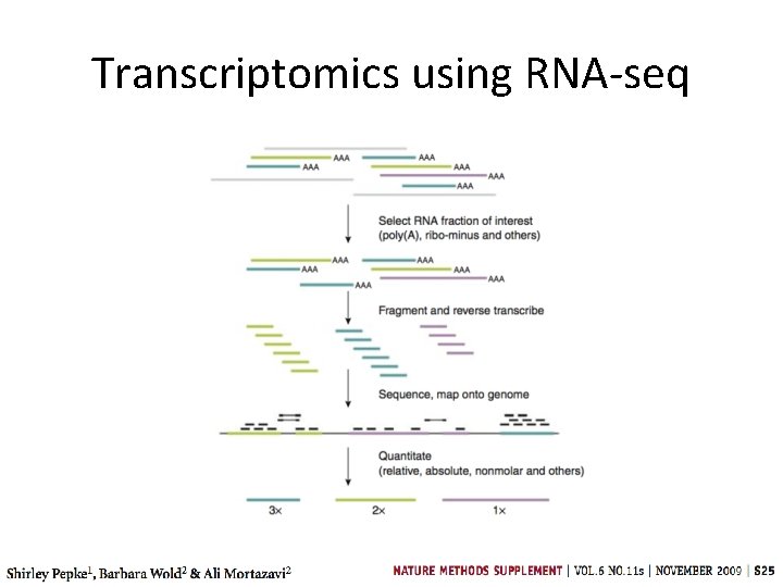 Transcriptomics using RNA-seq Transcriptomics using RNA-seq