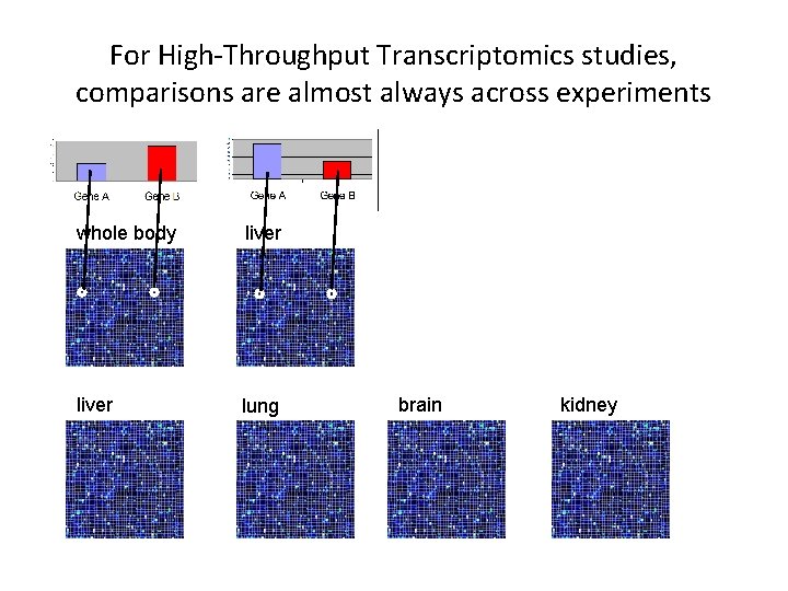 For High-Throughput Transcriptomics studies, comparisons are almost always across experiments whole body liver lung For High-Throughput Transcriptomics studies, comparisons are almost always across experiments whole body liver lung