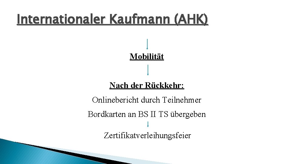 Internationaler Kaufmann (AHK) Mobilität Nach der Rückkehr: Onlinebericht durch Teilnehmer Bordkarten an BS II