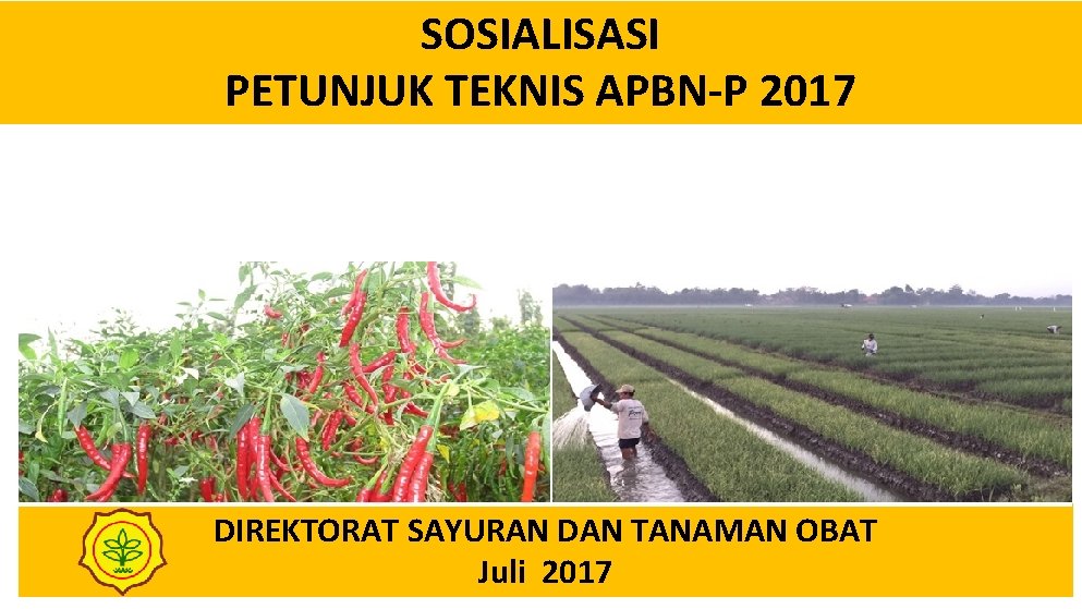 SOSIALISASI PETUNJUK TEKNIS APBN-P 2017 DIREKTORAT SAYURAN DAN TANAMAN OBAT Juli 2017 1 