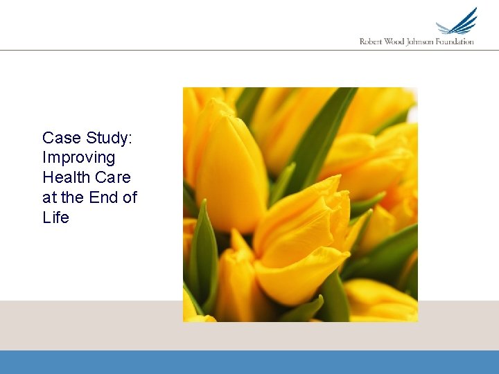 Case Study: Improving Health Care at the End of Life 