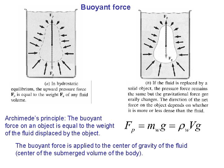 Buoyant force Archimede’s principle: The buoyant force on an object is equal to the