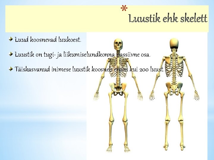 * Luud koosnevad luukoest. Luustik on tugi- ja liikumiselundkonna passiivne osa. Täiskasvanud inimese luustik