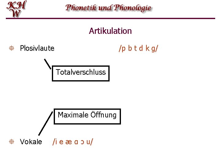 Artikulation ° Plosivlaute /p b t d k g/ Totalverschluss Maximale Öffnung ° Vokale