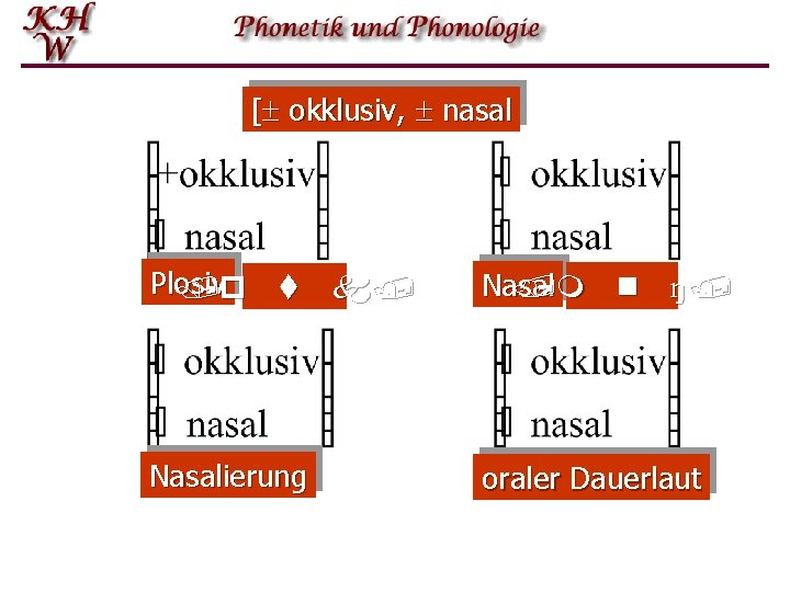 [ okklusiv, nasal Plosiv /p t k/ Nasal /m n ŋ / Nasalierung oraler
