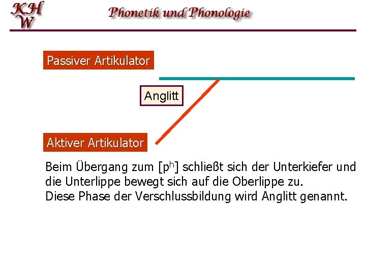 Passiver Artikulator Anglitt Aktiver Artikulator Beim Übergang zum [ph] schließt sich der Unterkiefer und