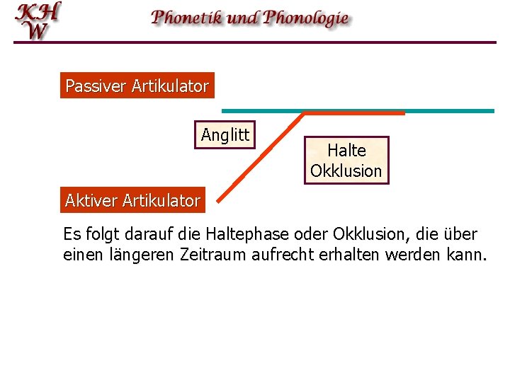 Passiver Artikulator Anglitt Halte Okklusion Aktiver Artikulator Es folgt darauf die Haltephase oder Okklusion,