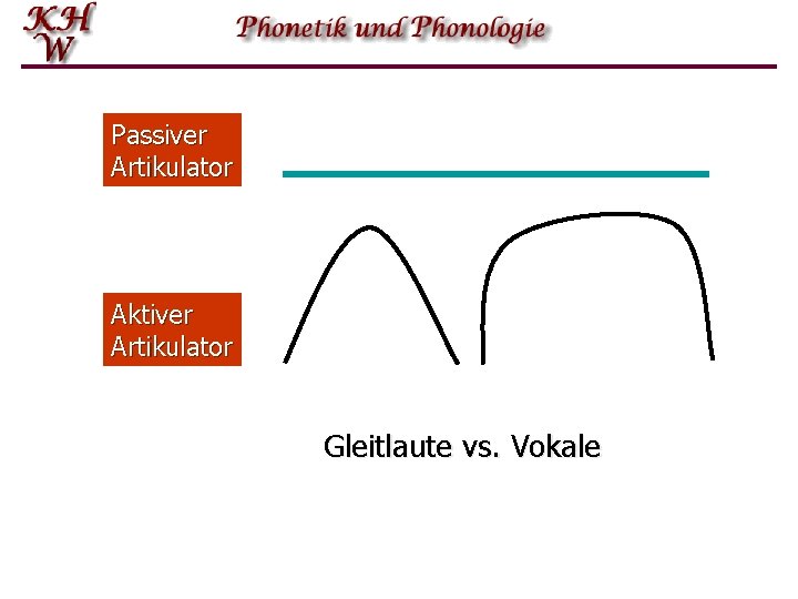 Passiver Artikulator Aktiver Artikulator Gleitlaute vs. Vokale 