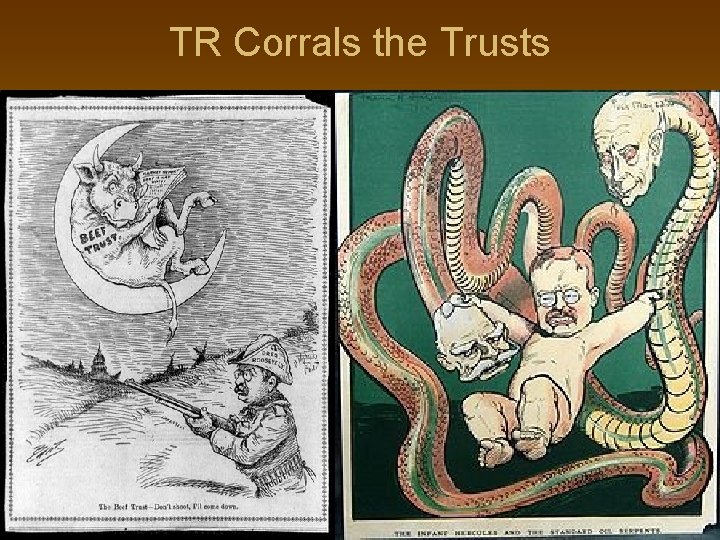 TR Corrals the Trusts 