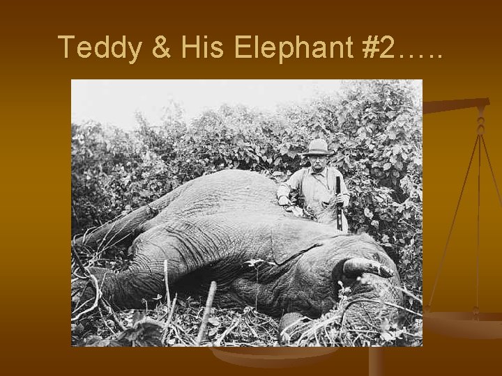 Teddy & His Elephant #2…. . 