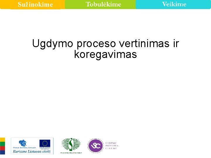 Sužinokime Ugdymo proceso vertinimas ir koregavimas 
