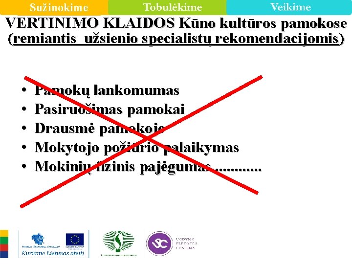 Sužinokime VERTINIMO KLAIDOS Kūno kultūros pamokose (remiantis užsienio specialistų rekomendacijomis) • • • Pamokų