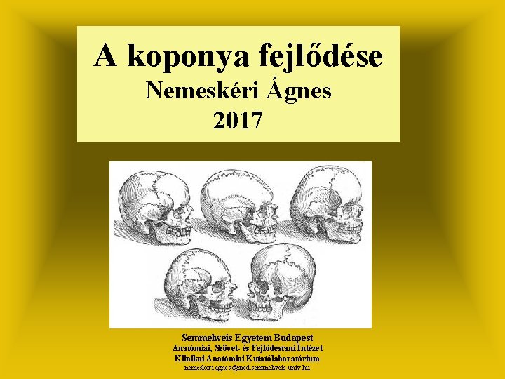 A koponya fejlődése Nemeskéri Ágnes 2017 Semmelweis Egyetem Budapest Anatómiai, Szövet- és Fejlődéstani Intézet