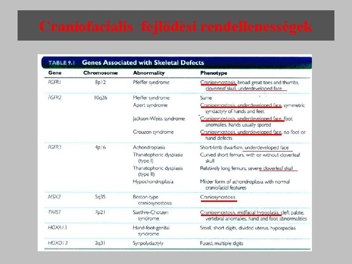 Craniofacialis fejlődési rendellenességek 