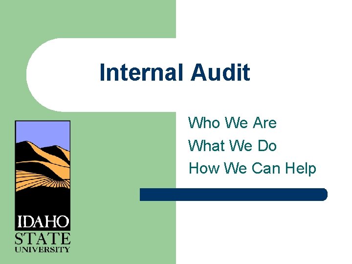 Internal Audit Who We Are What We Do How We Can Help 