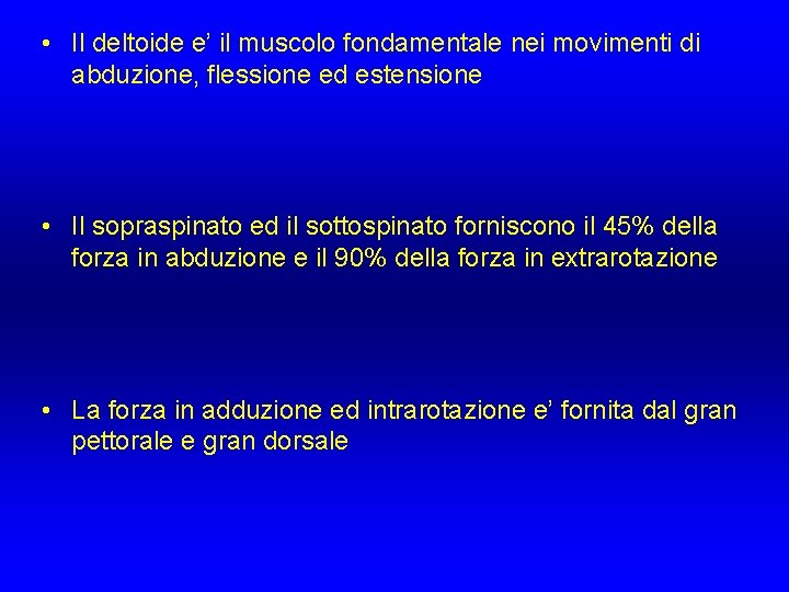 • Il deltoide e’ il muscolo fondamentale nei movimenti di abduzione, flessione ed • Il deltoide e’ il muscolo fondamentale nei movimenti di abduzione, flessione ed