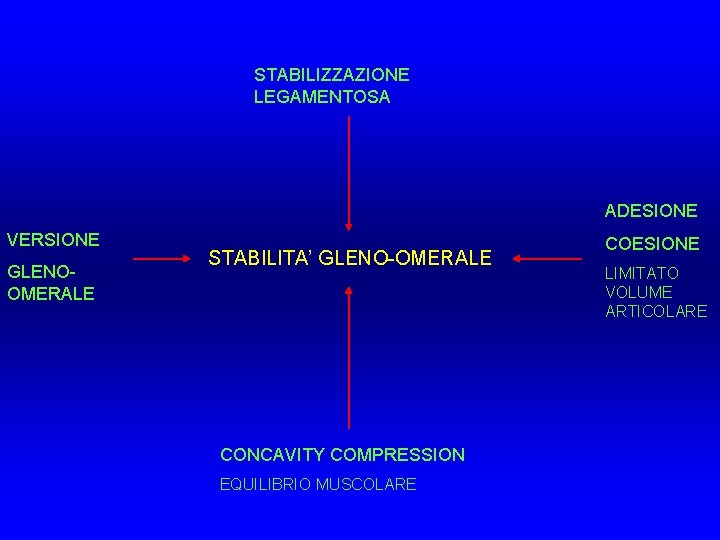 STABILIZZAZIONE LEGAMENTOSA ADESIONE VERSIONE GLENOOMERALE STABILITA’ GLENO-OMERALE CONCAVITY COMPRESSION EQUILIBRIO MUSCOLARE COESIONE LIMITATO VOLUME STABILIZZAZIONE LEGAMENTOSA ADESIONE VERSIONE GLENOOMERALE STABILITA’ GLENO-OMERALE CONCAVITY COMPRESSION EQUILIBRIO MUSCOLARE COESIONE LIMITATO VOLUME