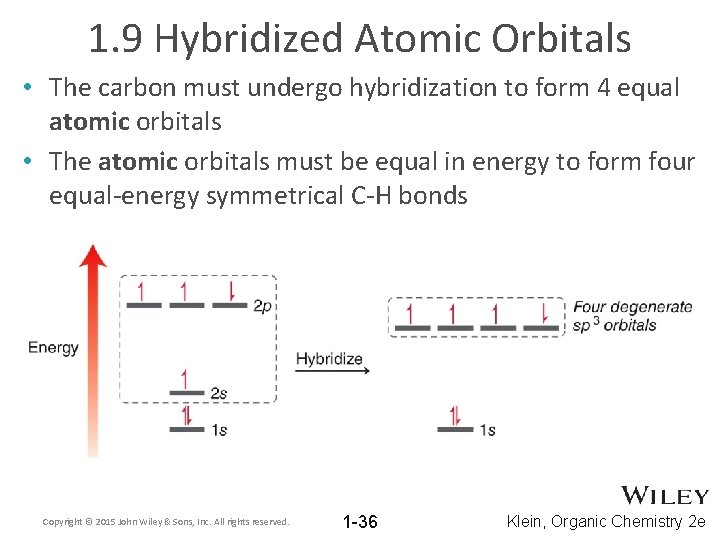 1. 9 Hybridized Atomic Orbitals • The carbon must undergo hybridization to form 4