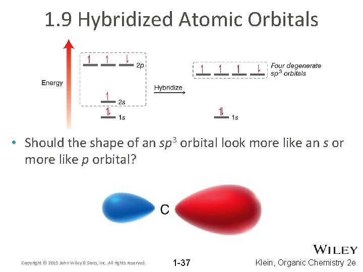 1. 9 Hybridized Atomic Orbitals • Should the shape of an sp 3 orbital