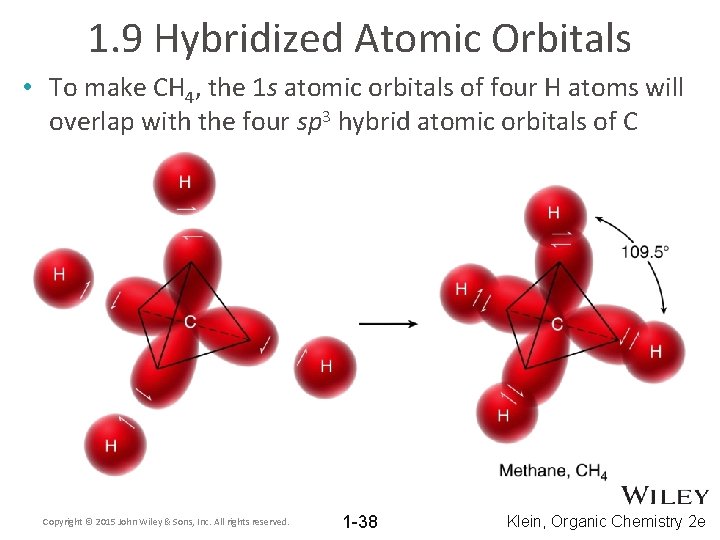 1. 9 Hybridized Atomic Orbitals • To make CH 4, the 1 s atomic