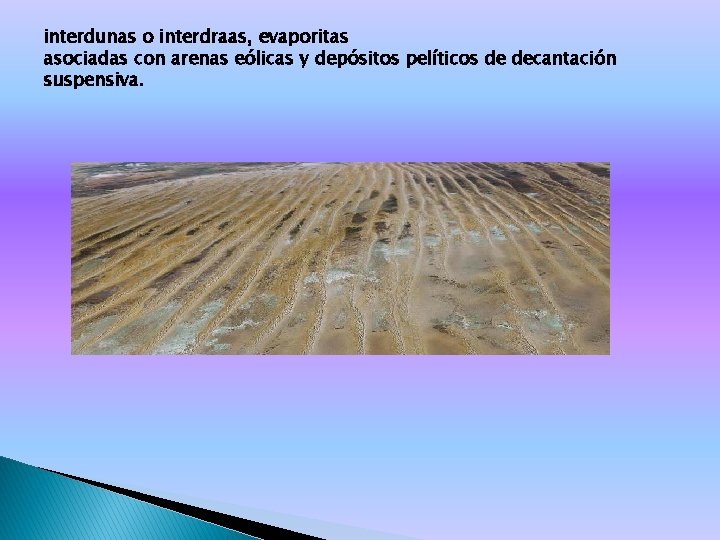 interdunas o interdraas, evaporitas asociadas con arenas eólicas y depósitos pelíticos de decantación suspensiva.