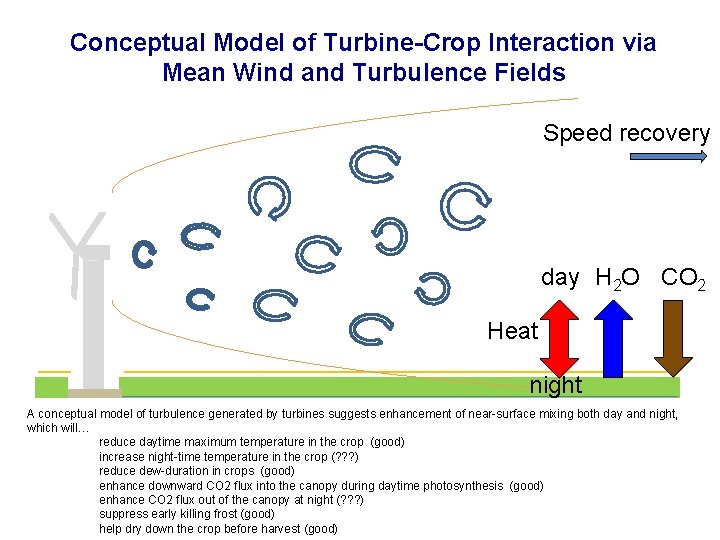 Conceptual Model of Turbine-Crop Interaction via Mean Wind and Turbulence Fields Speed recovery day
