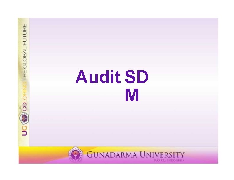 Audit SD M 