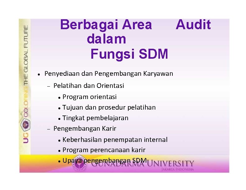 Berbagai Area Audit dalam Fungsi SDM Penyediaan dan Pengembangan Karyawan Pelatihan dan Orientasi Program