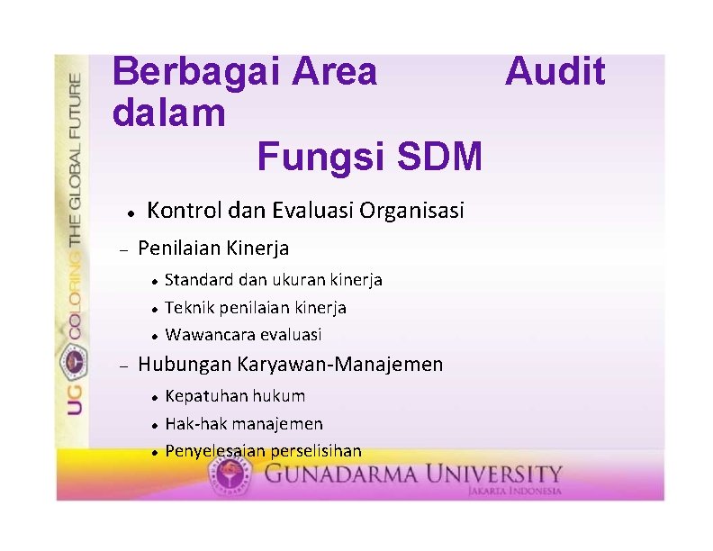 Berbagai Area Audit dalam Fungsi SDM Kontrol dan Evaluasi Organisasi Penilaian Kinerja Standard dan
