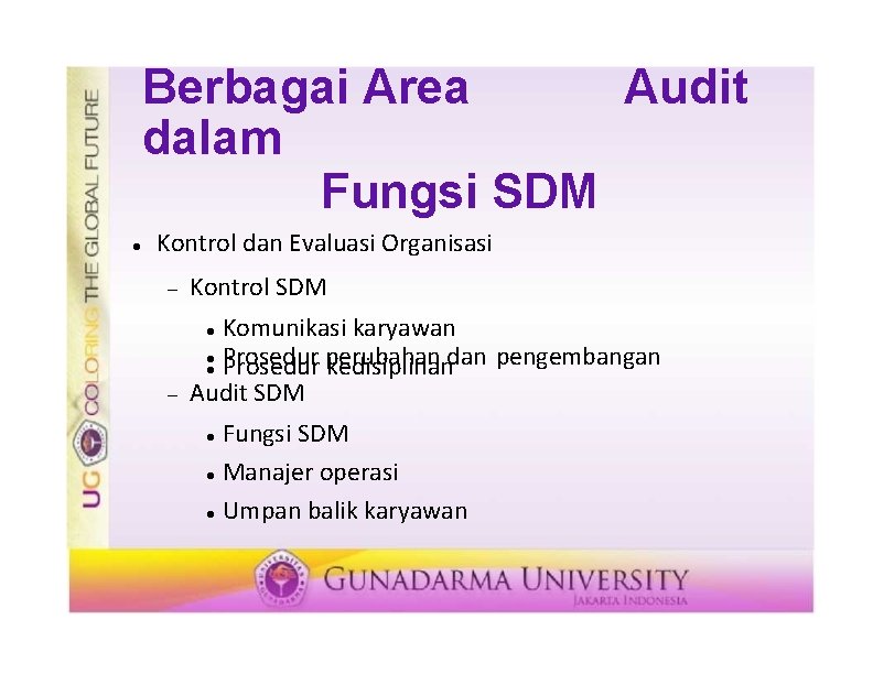 Berbagai Area Audit dalam Fungsi SDM Kontrol dan Evaluasi Organisasi Kontrol SDM Komunikasi karyawan